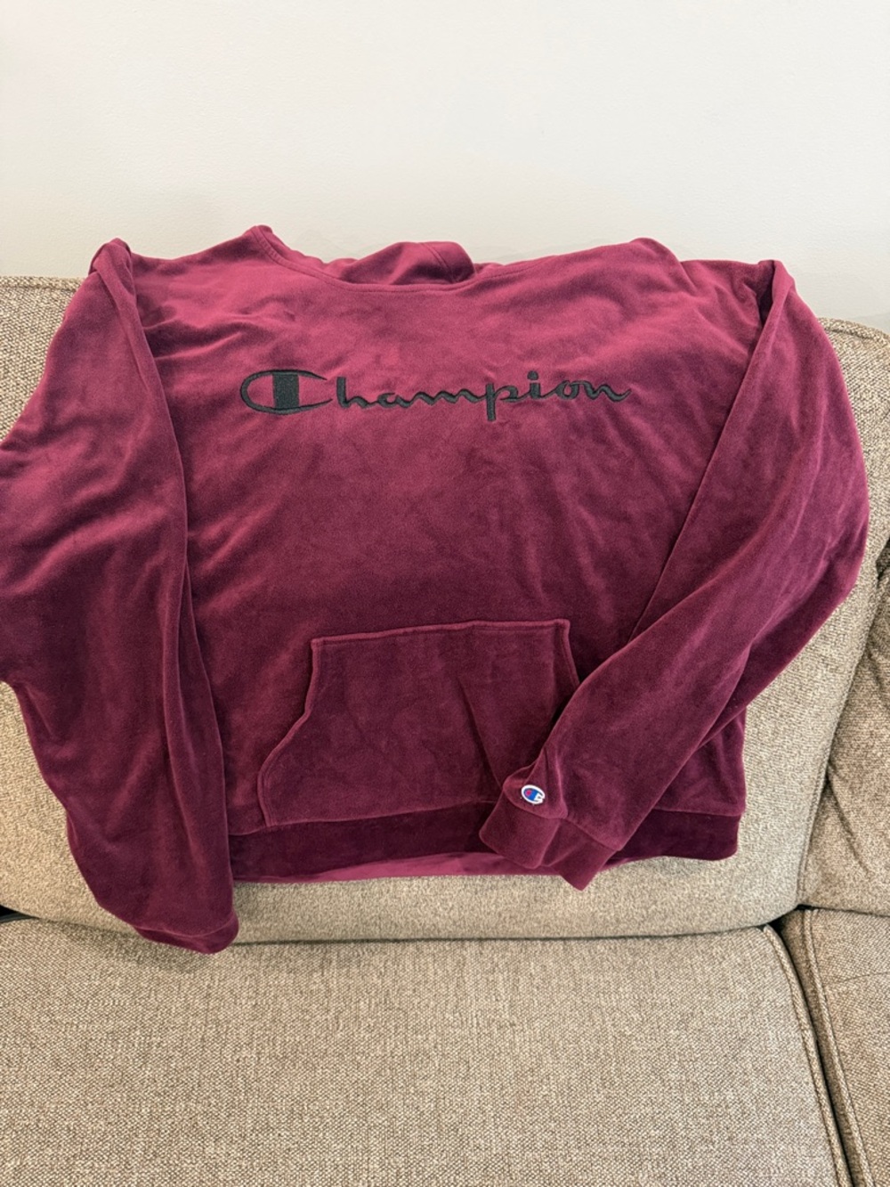 Champion Plush Velvet Pullover in Burgundy